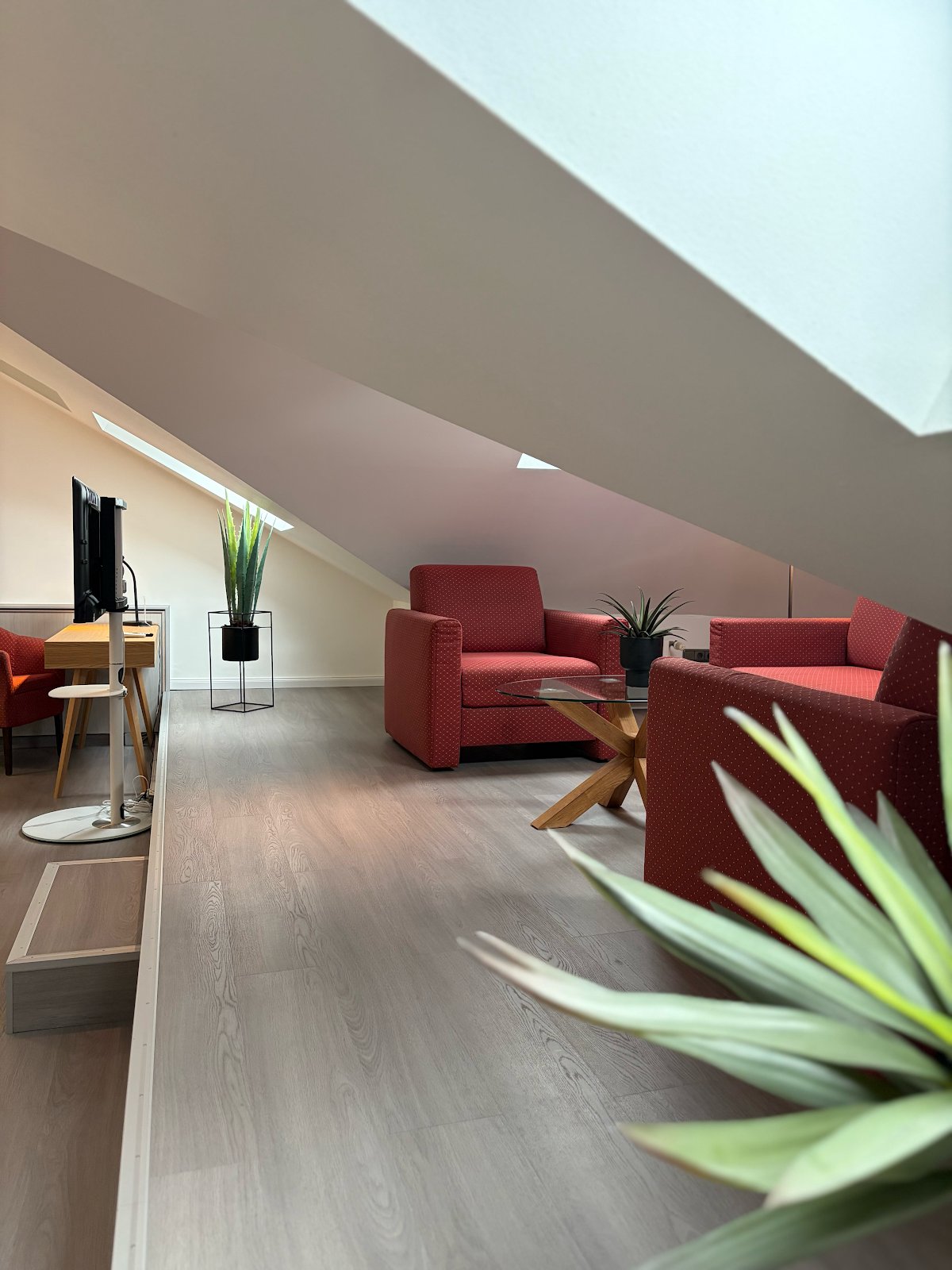Junior Suite / Familienzimmer